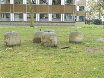 Groeivormen