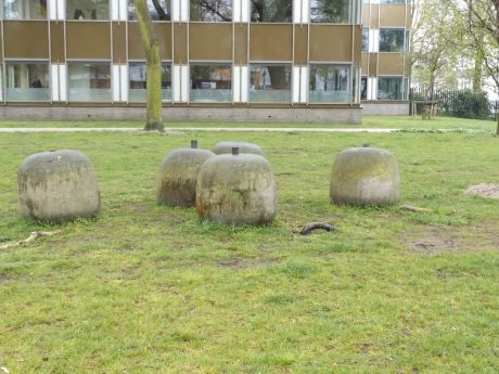 Groeivormen
