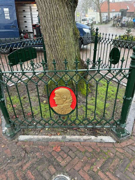 Koningin Wilhelminaboom